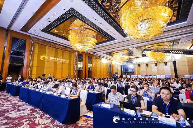 西米集团“新征程网”受邀参加第八届湖南省电子商务大会(图2)
