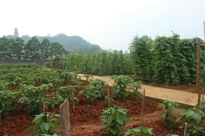 信仰如山，对命令的最高执行——刘杰！(图10)