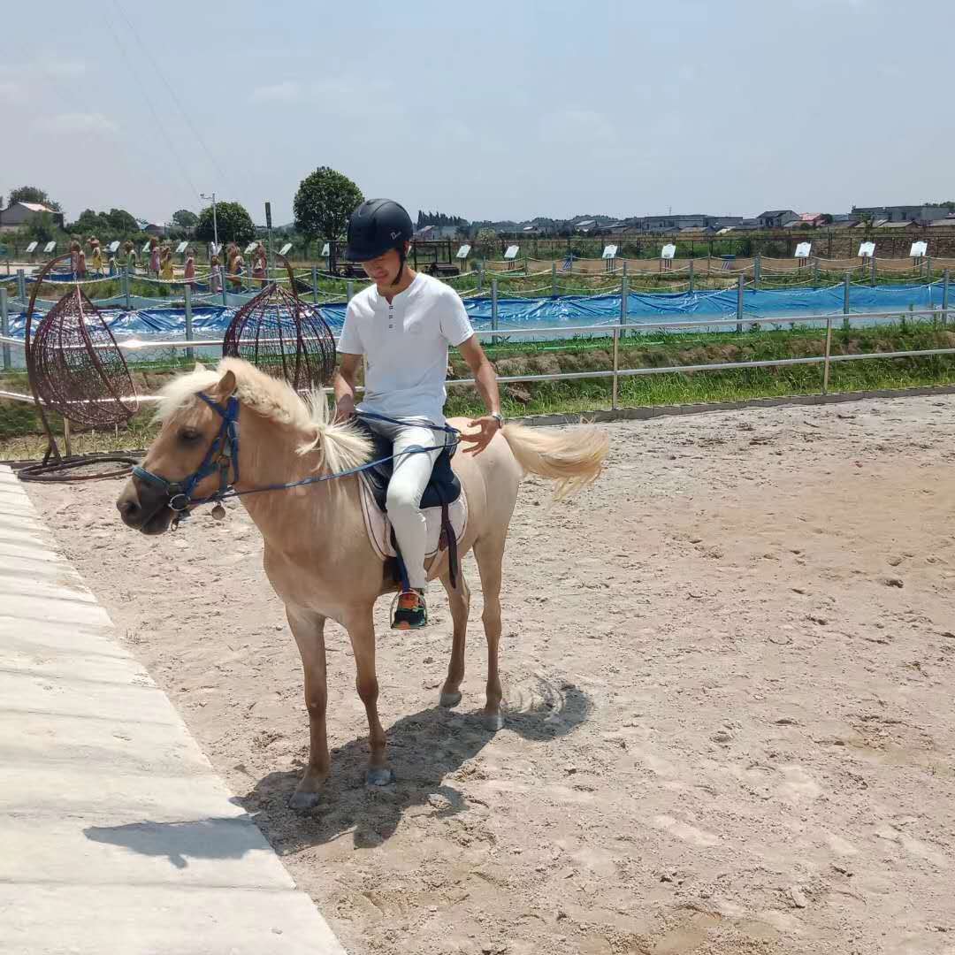 信仰如山，对命令的最高执行——刘杰！(图23)