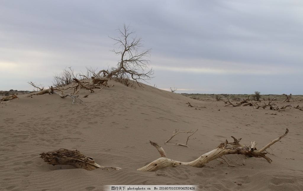 匍匐戈壁滩，天山下的忠诚卫士——刘炯！(图2)