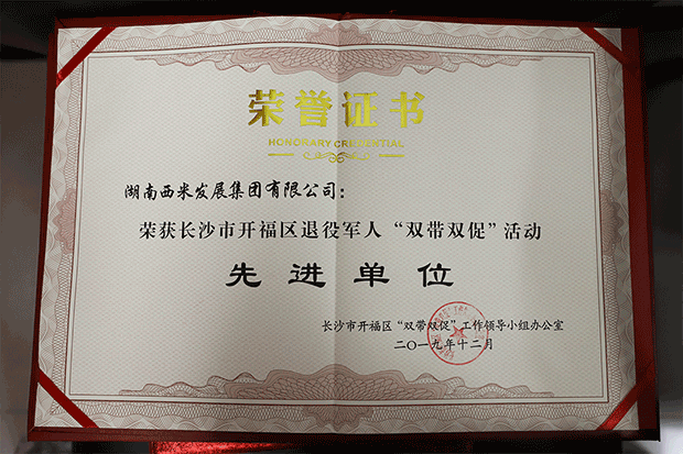 长沙市开福区2019 年度退役军人“双带双促”表彰会在区退役军人事务局召开(图3)