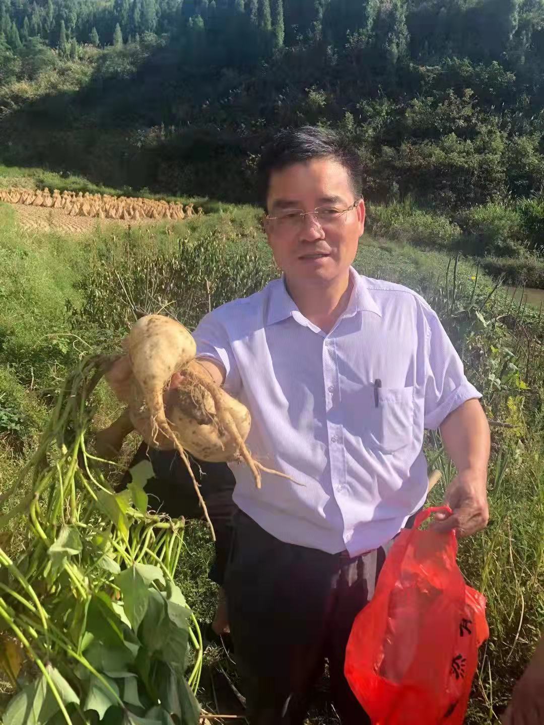 西米集团积极助力乡村振兴事业(图3)