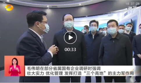 华声呈昱作品受省领导好评(图4)