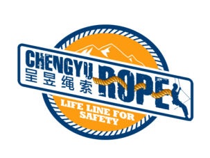 株洲消防救援支队：开展实战化培训 提升绳索救援能力(图2)